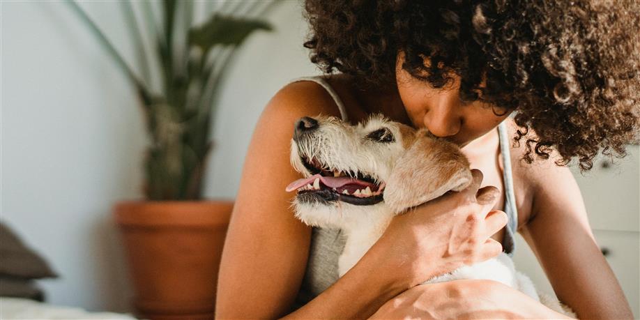 Research: Are you a pet-friendly landlord?