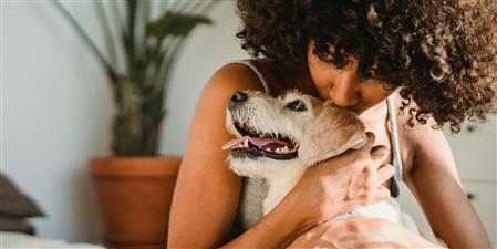 Research: Are you a pet-friendly landlord?