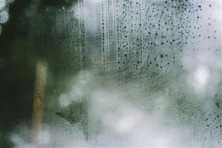Condensation, Damp & Mould: New guidance available