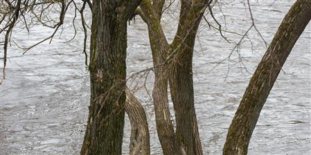 Flooding: Is your property protected?